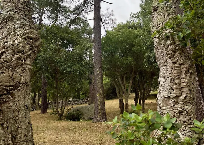 Fiori Di Luna 别墅 维琪奥港