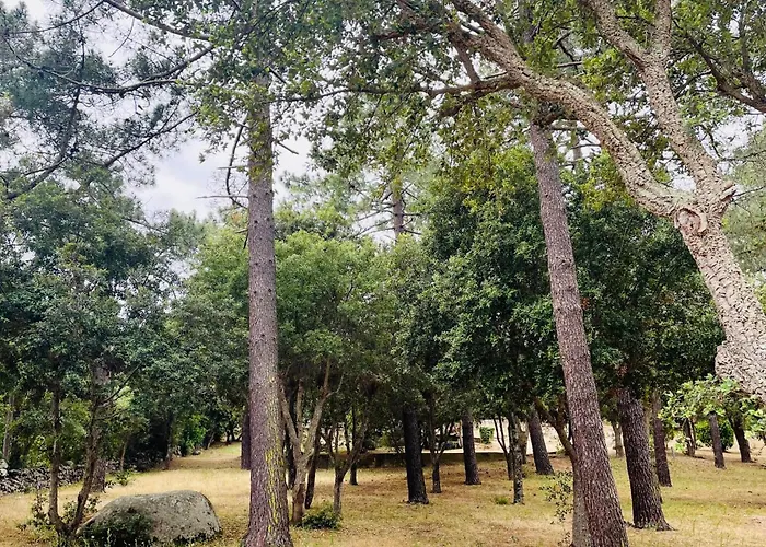 Fiori Di Luna فيلة