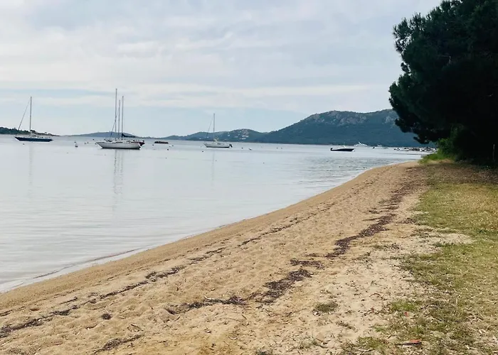 فيلة Fiori Di Luna