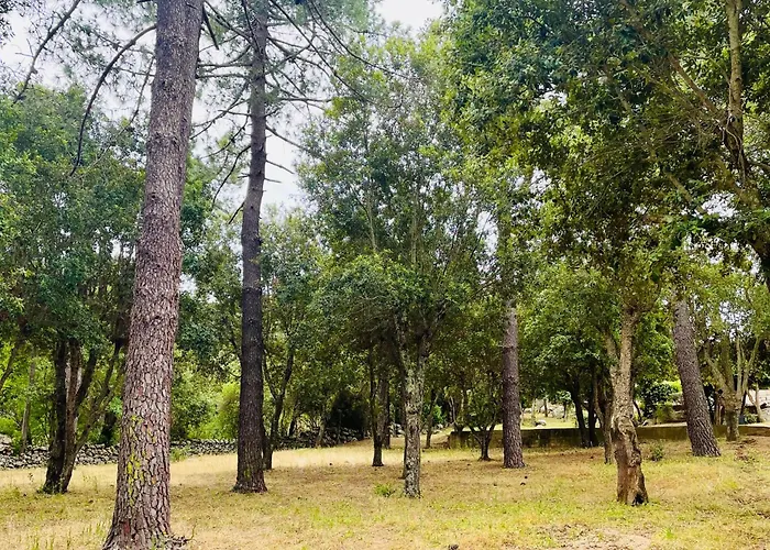 Fiori Di Luna * بورتو فيكشْيو