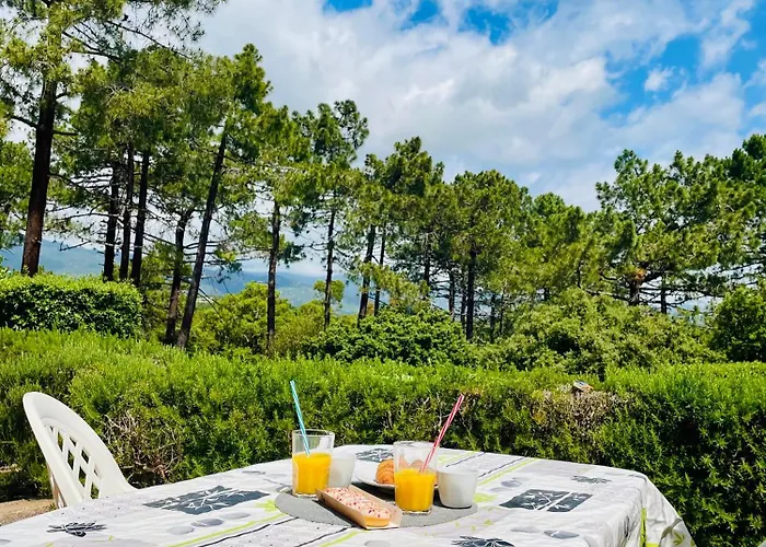 Fiori Di Luna 别墅 维琪奥港