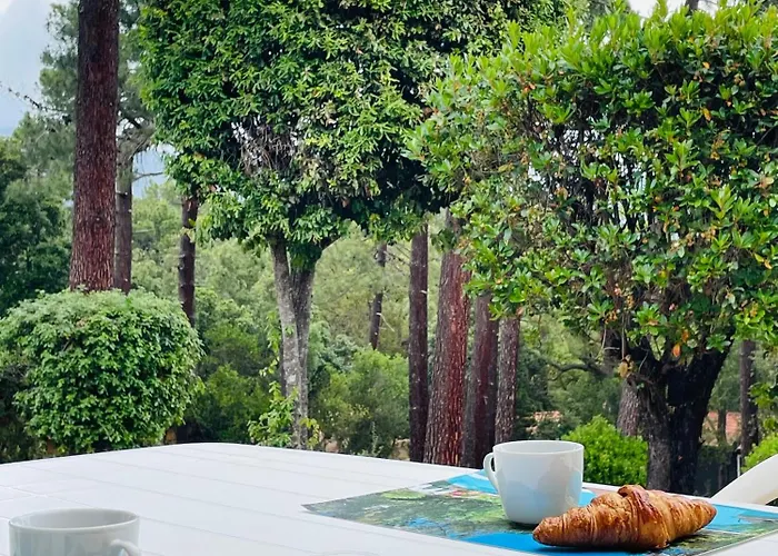 别墅 Fiori Di Luna 维琪奥港